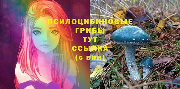 PSILOCYBIN Дмитров