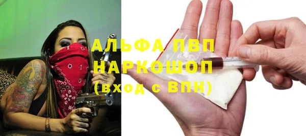 мет Ельня