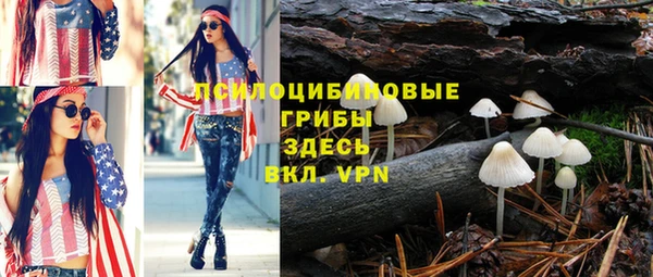 скорость Дмитриев
