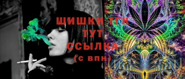 дживик Елабуга