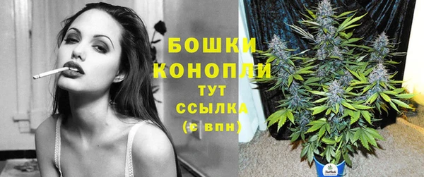 PSILOCYBIN Дмитров