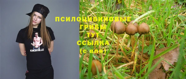 скорость Дмитриев