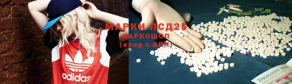 прущие грибы Аксай