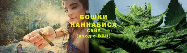 мет Ельня